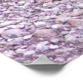 Kansas Snapping Turtle Poster (Ecke)