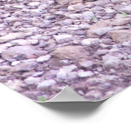 Kansas Snapping Turtle Poster (Ecke)