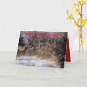 Kansas Snowy Wooden Fence Grußkarte Karte (Gelbe Blume)