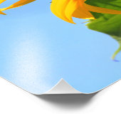 Kansas Sonnenblume mit einem Monarchschmetterling  Fotodruck (Ecke)