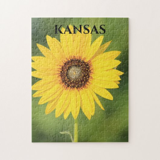 Kansas Sonnenblume Puzzle (Vertikal)
