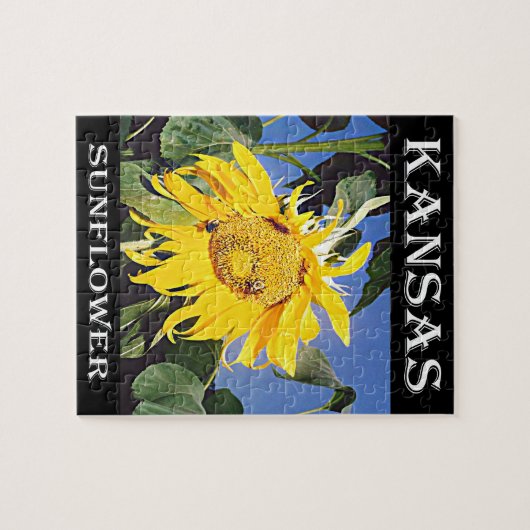 Kansas Sonnenblume Puzzle (Horizontal)