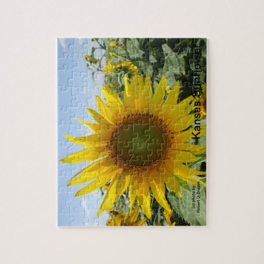 Kansas-Sonnenblume Puzzle (Vertikal)