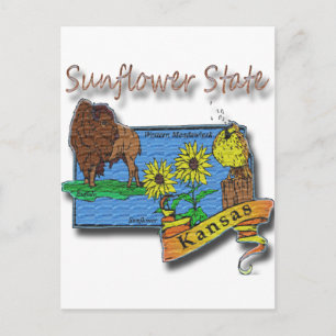 Kansas Sonnenblume Staat Lark Sunflower Buffalo Postkarte