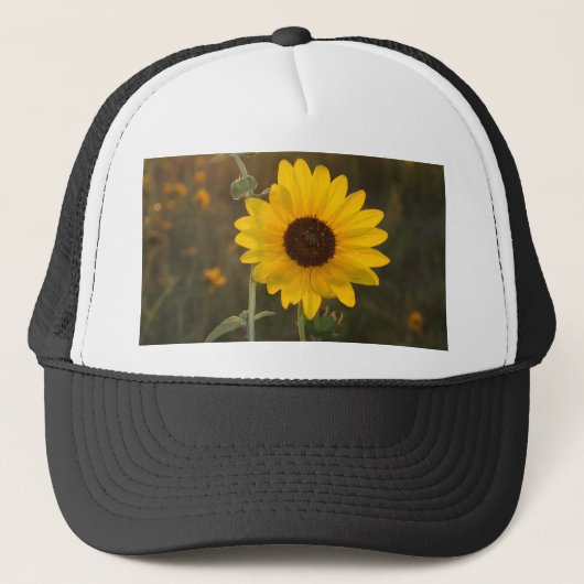 Kansas-Sonnenblume Truckerkappe (Vorderseite)