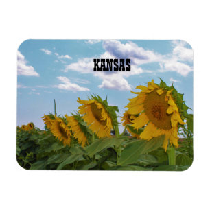 Kansas Sonnenblumen Magnet