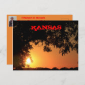 Kansas Sonnenuntergang mit Baumpost-Silhouette-Kar Postkarte (Vorne/Hinten)