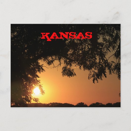 Kansas Sonnenuntergang mit Baumpost-Silhouette-Kar Postkarte (Vorderseite)