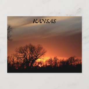 Kansas Sonnenuntergang mit Baumpost-Silhouette-Kar Postkarte