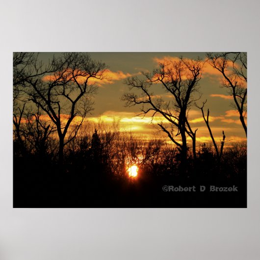 Kansas Sonnenuntergang mit Baumwoll-Silhouette, Wo Poster (Vorne)