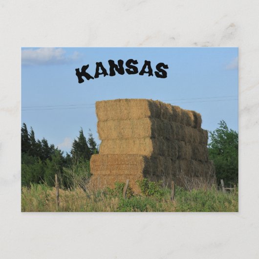 Kansas Square Hay Bales Post Card Postkarte (Vorderseite)