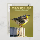 Kansas Staat Bird - Western Meadowlark Postkarte (Vorne/Hinten)