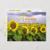 Kansas Staat Blume - Die Sonnenblume Postkarte (Vorne/Hinten)