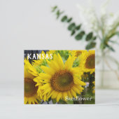 Kansas Staat Blume Sonnenblumen Postkarte (Stehend Vorderseite)