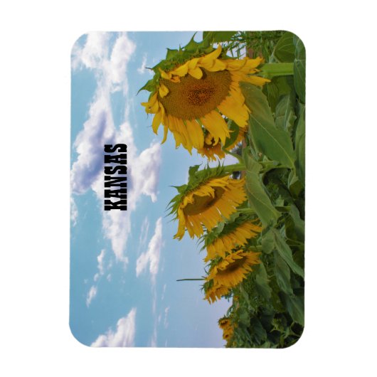 Kansas Sunblumen Magnet (Vertikal)