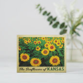 Kansas Sunblumen Postkarte (Stehend Vorderseite)
