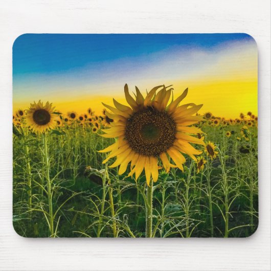 Kansas Sunflower Field Mousepad (Vorne)