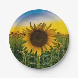 Kansas Sunflower Field Pappteller