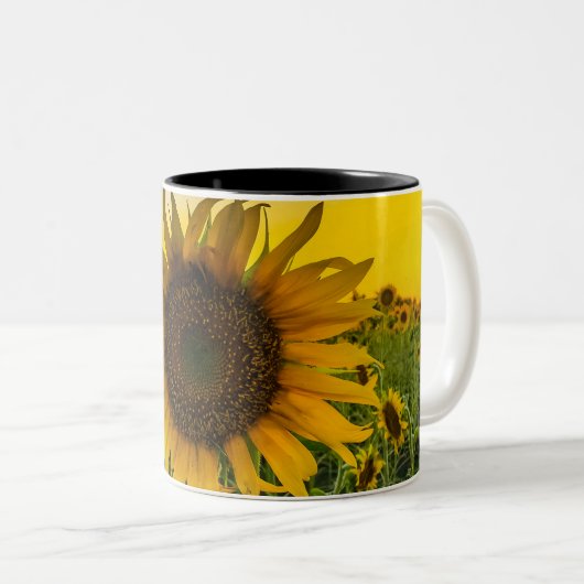 Kansas Sunflower Field Zweifarbige Tasse (VorderseiteRechts)