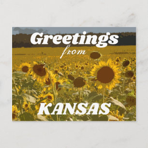 Kansas Sunflower Greetings Postkarte