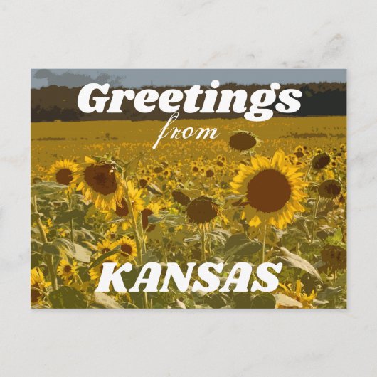 Kansas Sunflower Greetings Postkarte (Vorderseite)