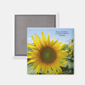Kansas Sunflower Magnet (Vorderseite/Rückseite)