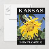 Kansas Sunflower Postkarte (Vorne/Hinten)