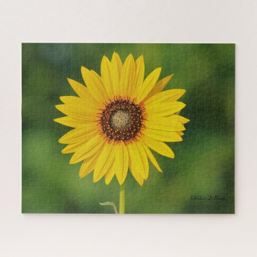 Kansas Sunflower Puzzle (Horizontal)
