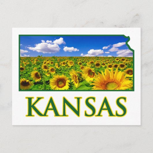 Kansas Sunflower Sky Postkarte (Vorderseite)