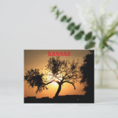 Kansas Sunset mit Baumpost-Karte Postkarte (Stehend Vorderseite)