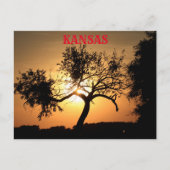 Kansas Sunset mit Baumpost-Karte Postkarte (Vorderseite)