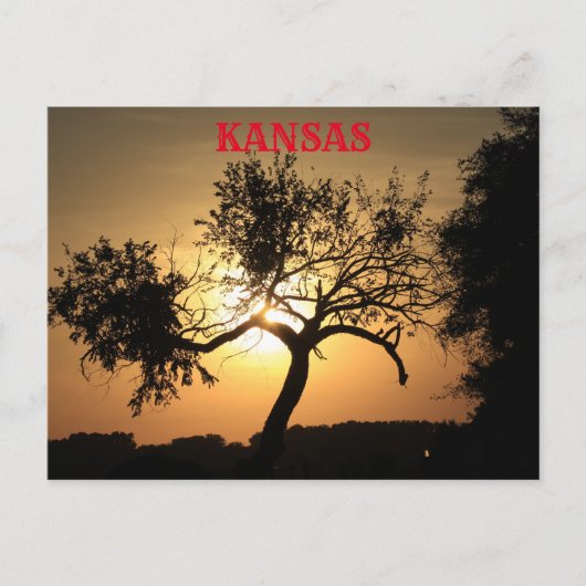 Kansas Sunset mit Baumpost-Karte Postkarte (Vorderseite)