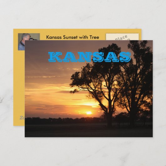 Kansas Sunset mit Baumstruktur Silhouette, POSTCAR Postkarte (Vorne/Hinten)