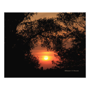 Kansas Sunset mit einer Erweiterung des Fotos Tree Fotodruck