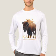 Kansas-Territorium-Tier Bison Americanus