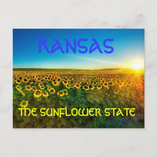 Kansas "The Sunflower Staat Postcard" Postkarte