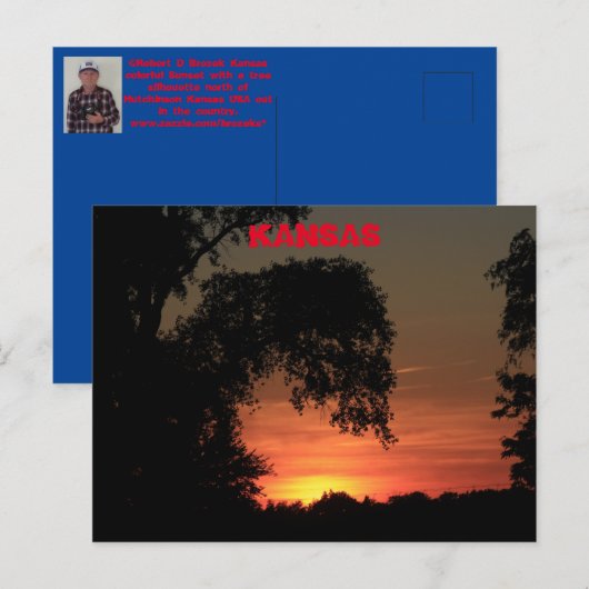 Kansas Tree Silhouette Sunset Postkarte (Vorne/Hinten)