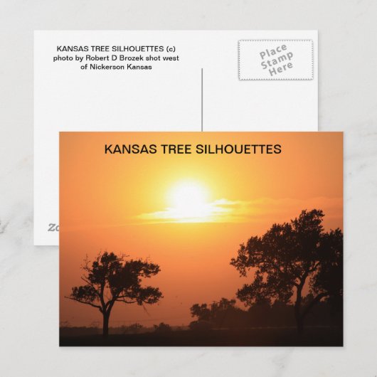 KANSAS TREE-SILHOUETTEN POSTKARTE (Vorne/Hinten)