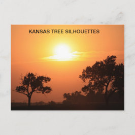 KANSAS TREE-SILHOUETTEN POSTKARTE