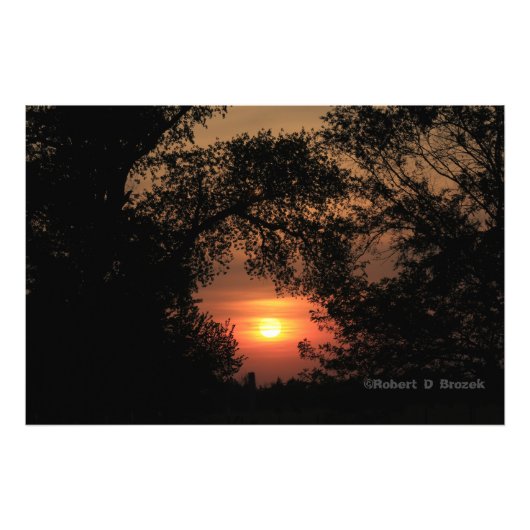 Kansas Tree Silhouetten Sunset Foto Poster. (Vorne)