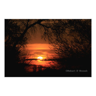 Kansas Trees Sunset Foto Poster.