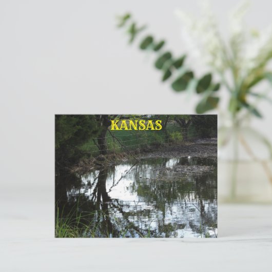 Kansas überschwemmen Wasser in einer Weide Post Ca Postkarte (Stehend Vorderseite)