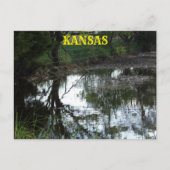 Kansas überschwemmen Wasser in einer Weide Post Ca Postkarte (Vorderseite)