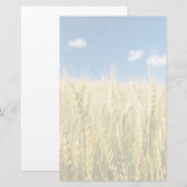 Kansas-Weizen Briefpapier (Vorne/Hinten)