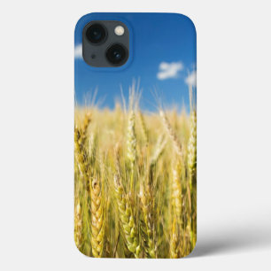 Kansas-Weizen Case-Mate iPhone Hülle