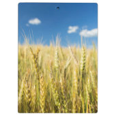 Kansas-Weizen Klemmbrett (Rückseite)