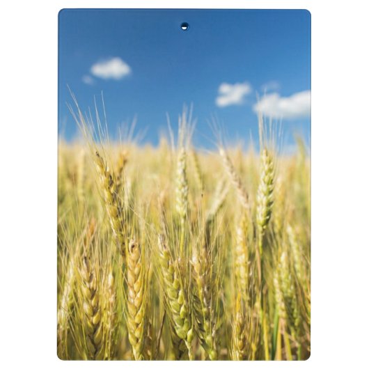 Kansas-Weizen Klemmbrett (Rückseite)
