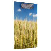 Kansas-Weizen Klemmbrett (Rechts)