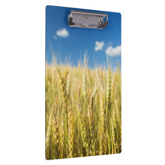 Kansas-Weizen Klemmbrett (Rechts)