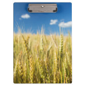 Kansas-Weizen Klemmbrett (Vorderseite)